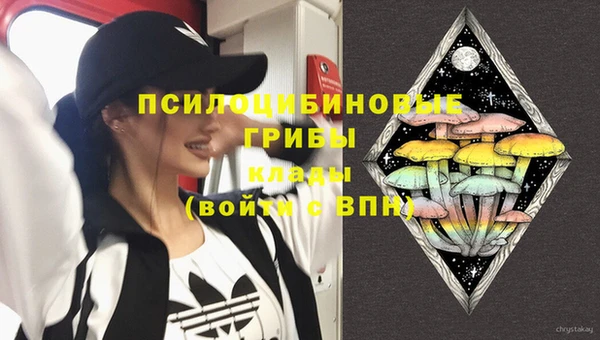 2c-b Нязепетровск