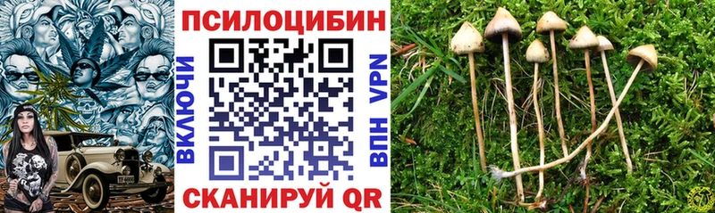 Псилоцибиновые грибы Magic Shrooms  ссылка на мегу ТОР  Холм  купить  